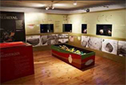 Exposição temporária "S. Pedro – Entre o Céu e a Terra" em Coruche